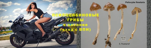 mix Арсеньев