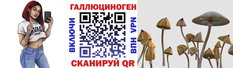 Галлюциногенные грибы GOLDEN TEACHER  Архангельск 