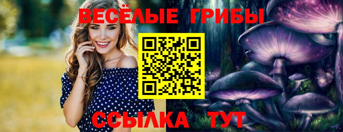 Архангельск  купить закладку  Вход с VPN  Галлюциногенные грибы Cubensis 